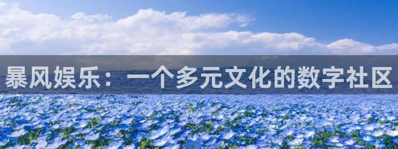 摩登7lite登录入口