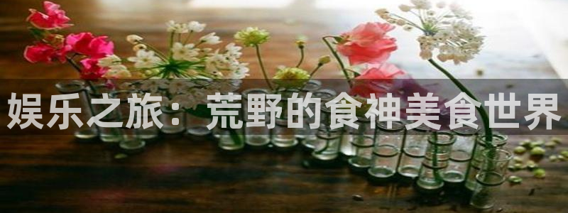 摩登7lite登录入口
