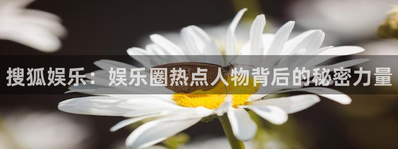 摩登7官网